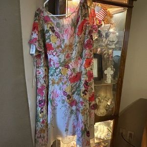 CATO Women’s Plus size 26/28 floral dress